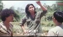 山狗在线观看,在线惊悚之旅，揭秘神秘森林的恐怖传说